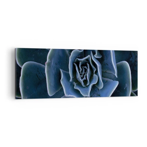 Obraz na płótnie - Zbliżenie na rozetę zielonego sukulentu - 140x50cm - Kwiat pustyni - Nowoczesna dekoracja ścienna do salonu i sypialni ARTTOR