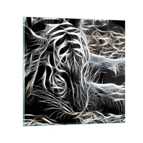 Obraz na szkle - Studium kociej lekkości - 70x70 cm