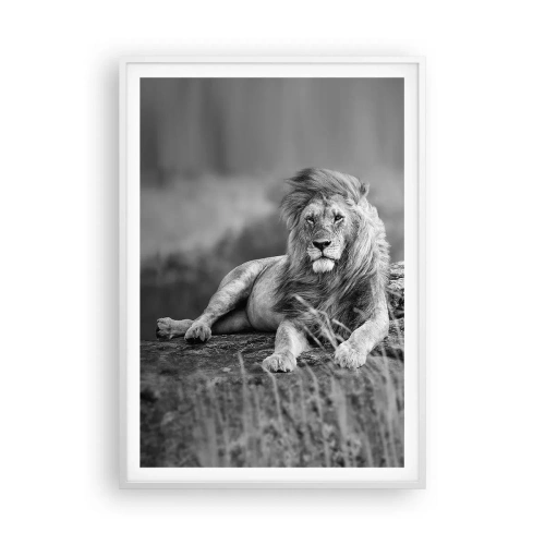 Plakat w białej ramie - Królewska sjesta - 70x100 cm