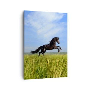 Obraz na płótnie - Czarny koń galopujący po zielonej łące - 50x70cm - Porywający manifest wolności - Nowoczesna dekoracja ścienna do salonu, kuchni i sypialni ARTTOR