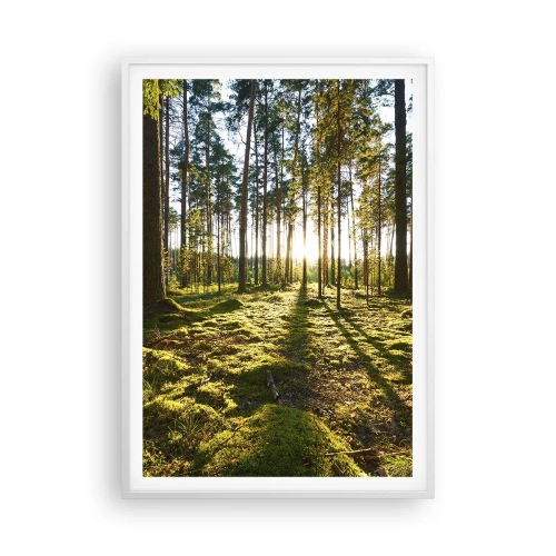 Plakat w białej ramie - …Za siedmioma lasami - 70x100 cm
