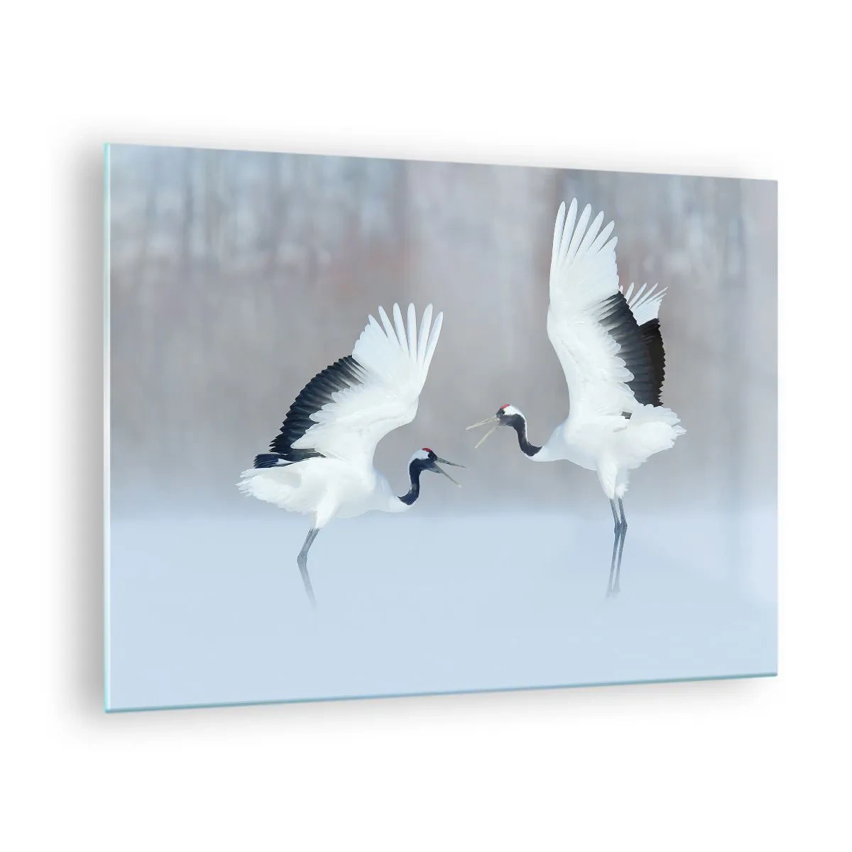 Obraz na szkle - Tańczące żurawie na tle zimowego krajobrazu - 70x50cm - Taniec we mgle - Nowoczesna dekoracja ścienna do salonu i sypialni ARTTOR