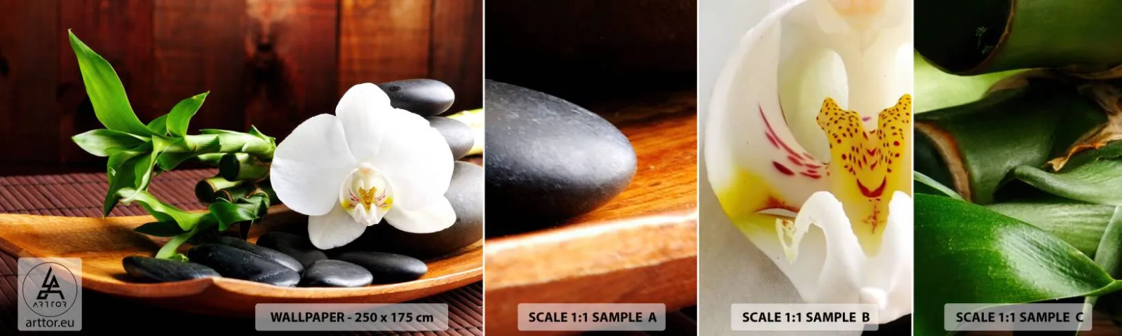 Fototapeta Próbka Standard Eco - Poddaj się dotykowi natury - Kwiaty, Orchidea, Storczyk - 100x30 cm