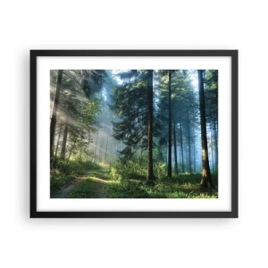 Plakat w czarnej ramie - Rozpromieniony o poranku - 50x40 cm