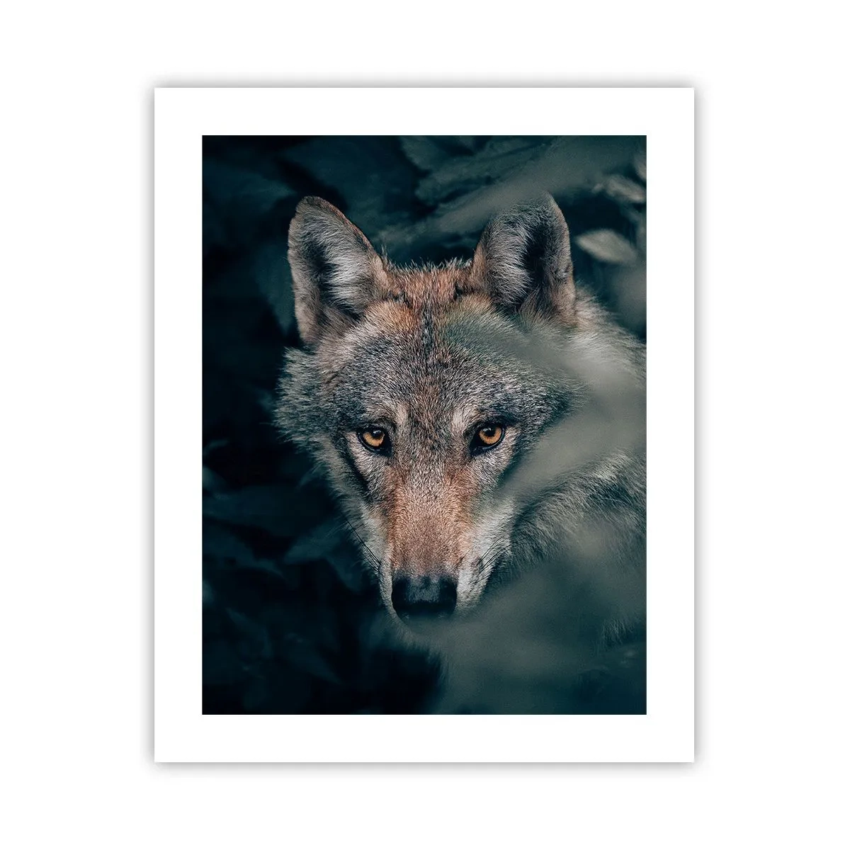 Plakat - Łowca - 40x50 cm