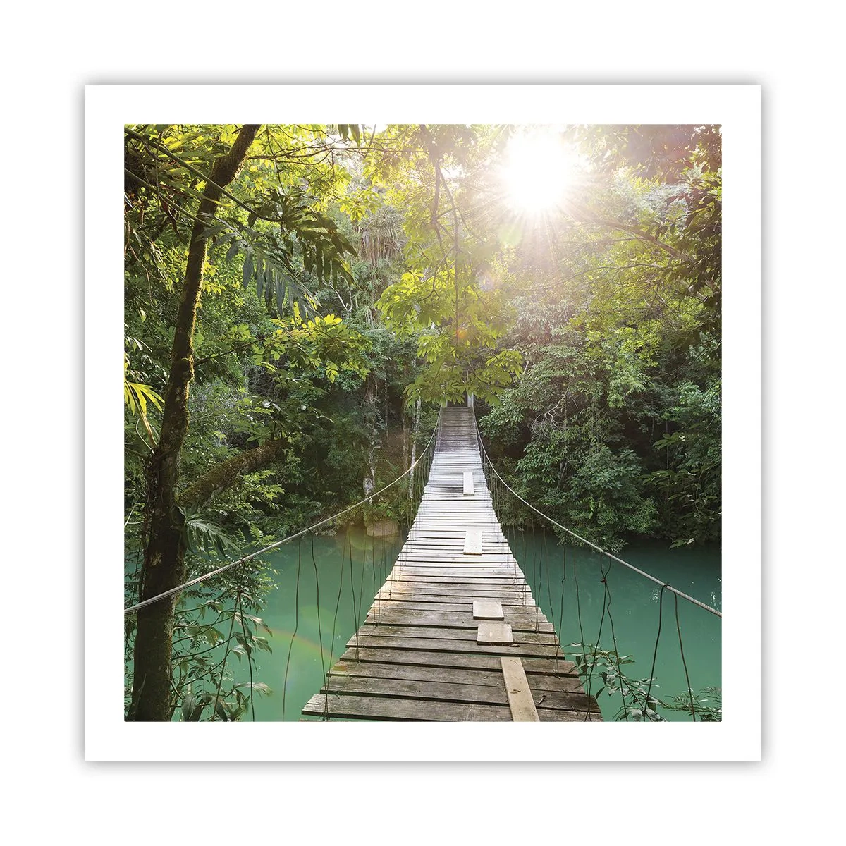 Plakat - Nad lazurową wodą do lazurowego lasu - 60x60 cm