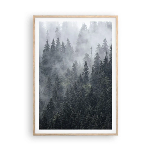 Plakat w ramie jasny dąb - Leśny świt - 70x100 cm