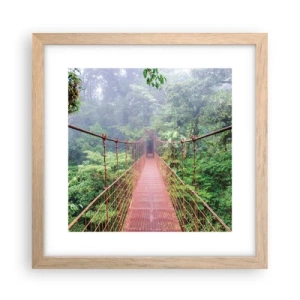 Plakat w ramie jasny dąb - Zawieszony nad koronami - 30x30 cm