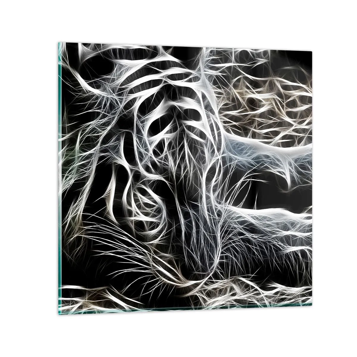 Obraz na szkle - Studium kociej lekkości - 30x30 cm
