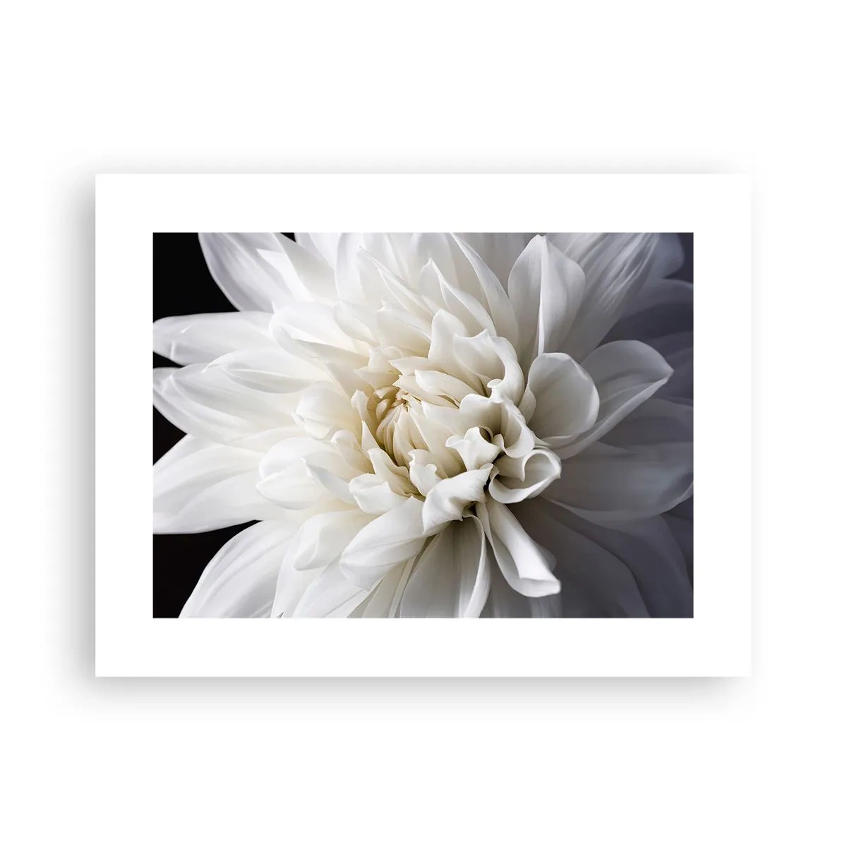 Plakat - Poranek Panny Młodej - 40x30 cm