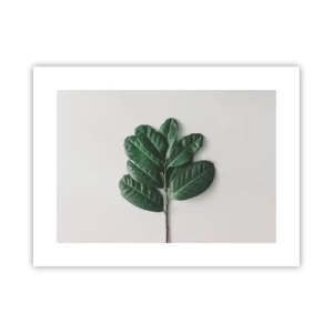 Plakat - Rysunek samej natury - 40x30 cm