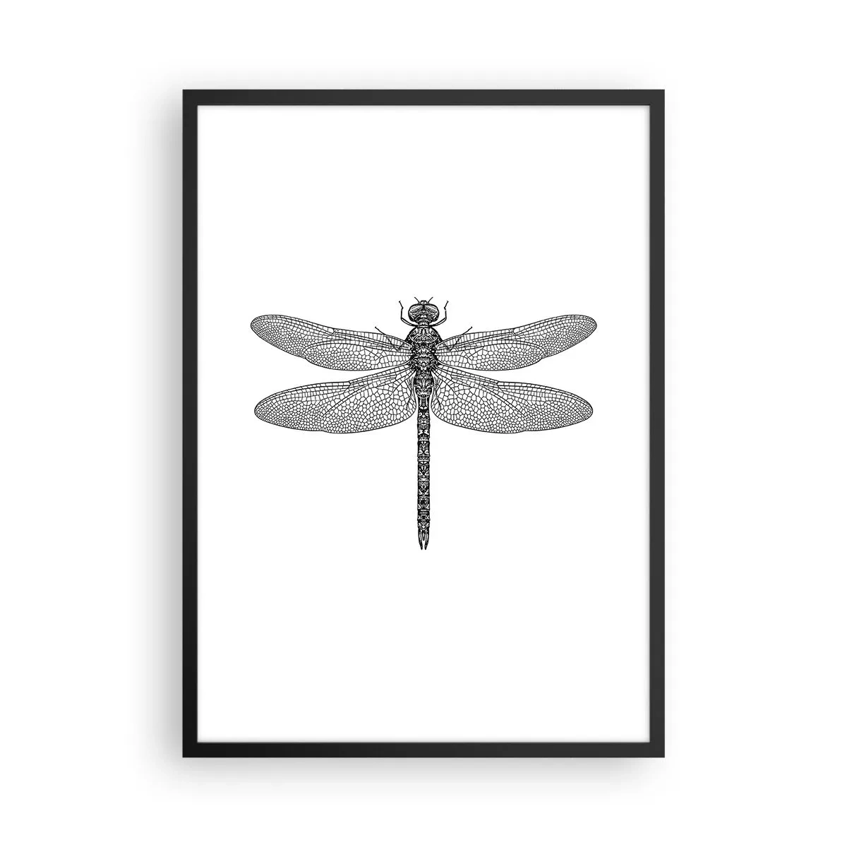 Plakat w czarnej ramie - Czarno-biała ilustracja ważki na białym tle - 50x70cm - Precyzja natury - Nowoczesna dekoracja ścienna do salonu i sypialni ARTTOR