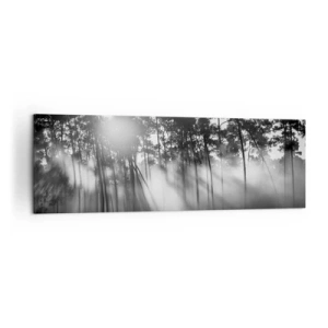 Obraz na płótnie - Czarno-biały las w porannej mgle - 160x50cm - Niepowstrzymane słońce - Nowoczesna dekoracja ścienna do salonu i sypialni ARTTOR