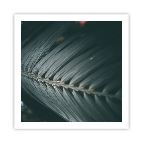 Plakat - Precyzja natury - 60x60 cm