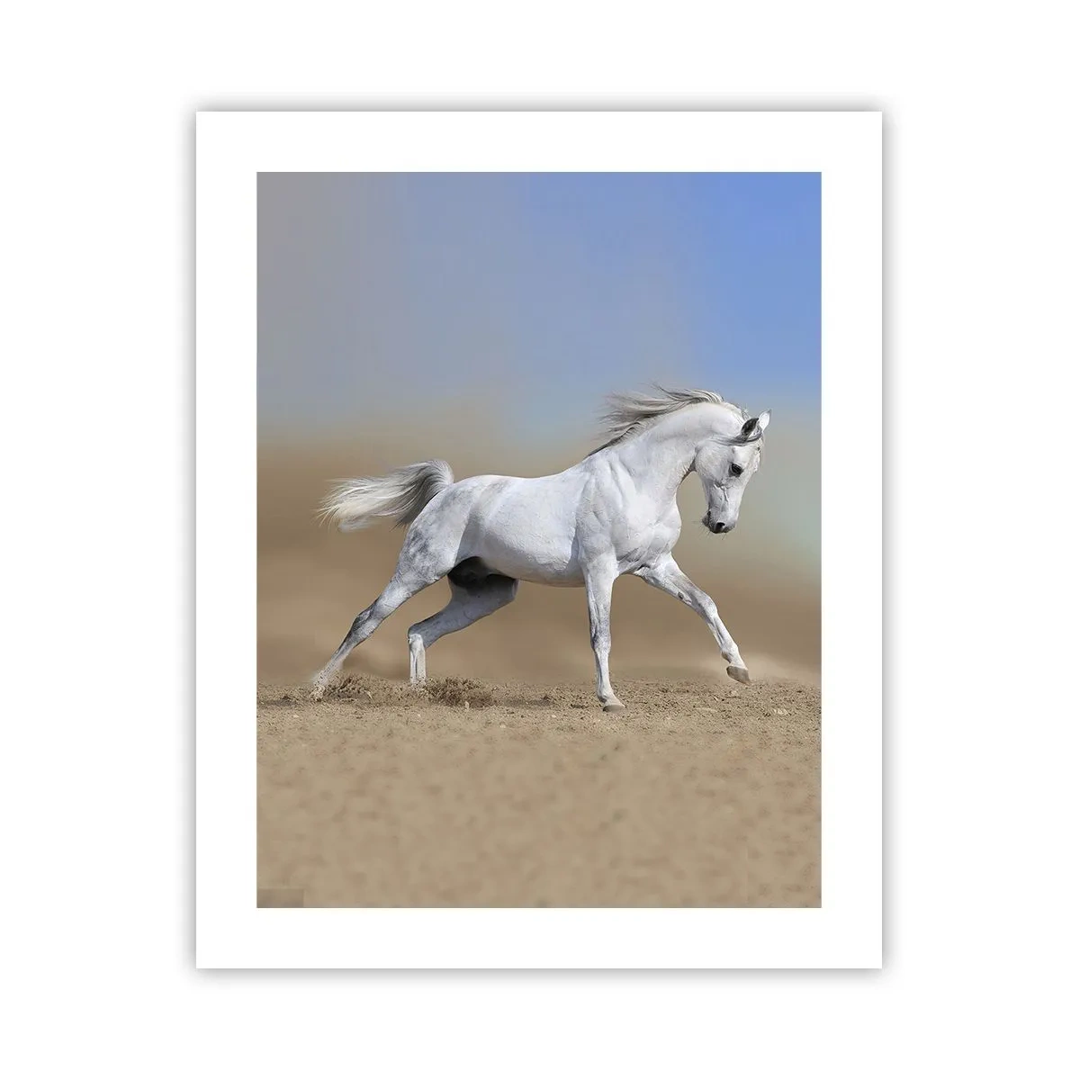 Plakat - Najpiękniejsza arabska baśń - 40x50 cm