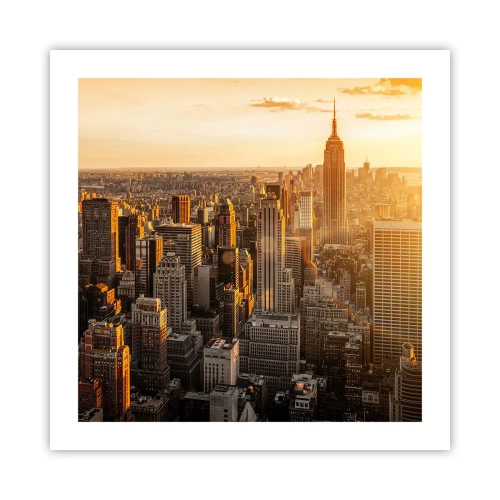 Plakat - Rosnąc w słońcu - 50x50 cm