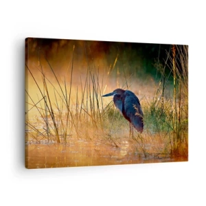 Obraz na płótnie - Czapla na mokradłach o zachodzie słońca wśród wysokich traw - 70x50cm - No dajcie mi spokój z tymi zdjęciami - Nowoczesna dekoracja ścienna do salonu i sypialni ARTTOR