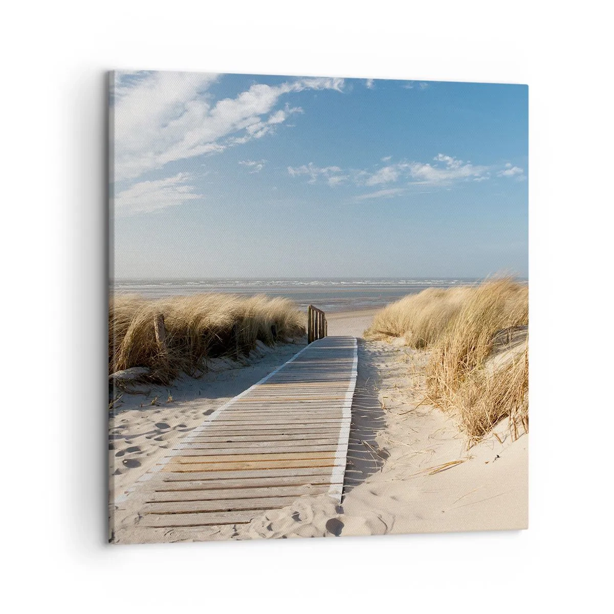 Obraz na płótnie - Za wydmą, w szumie traw - 50x50 cm