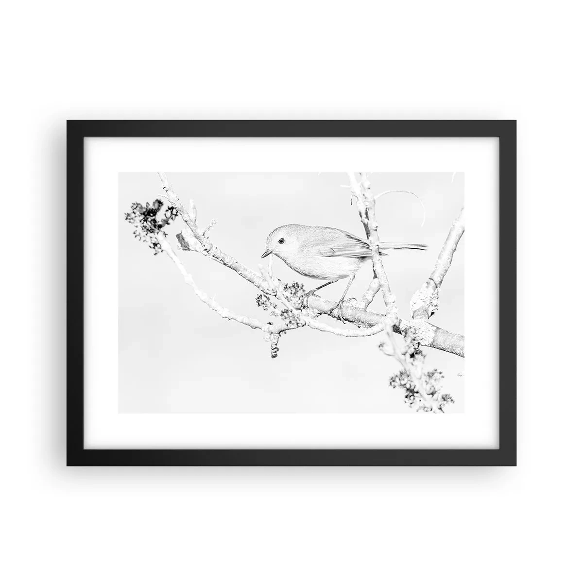 Plakat w czarnej ramie - Zimowy poranek - 40x30 cm