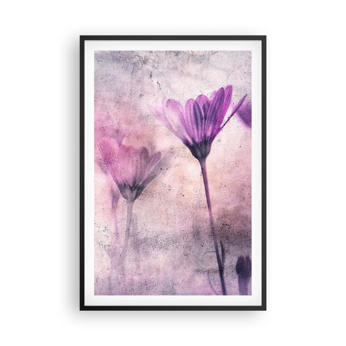 Plakat w czarnej ramie - Sen kwiatów - 61x91 cm