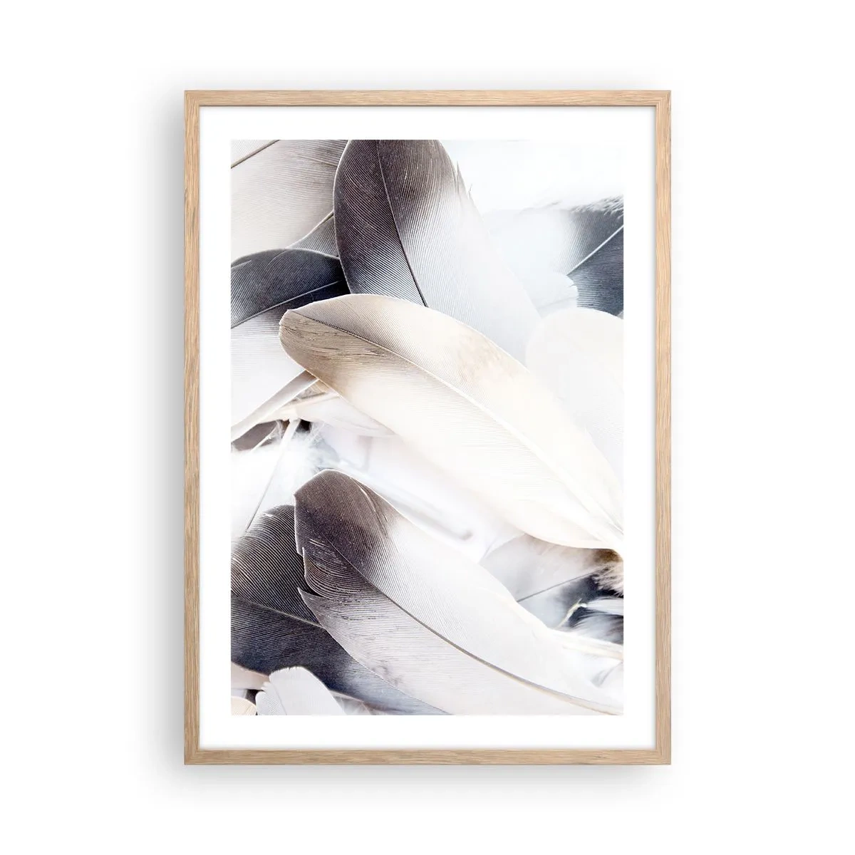 Plakat w ramie jasny dąb - Niemal anielskie - 50x70 cm
