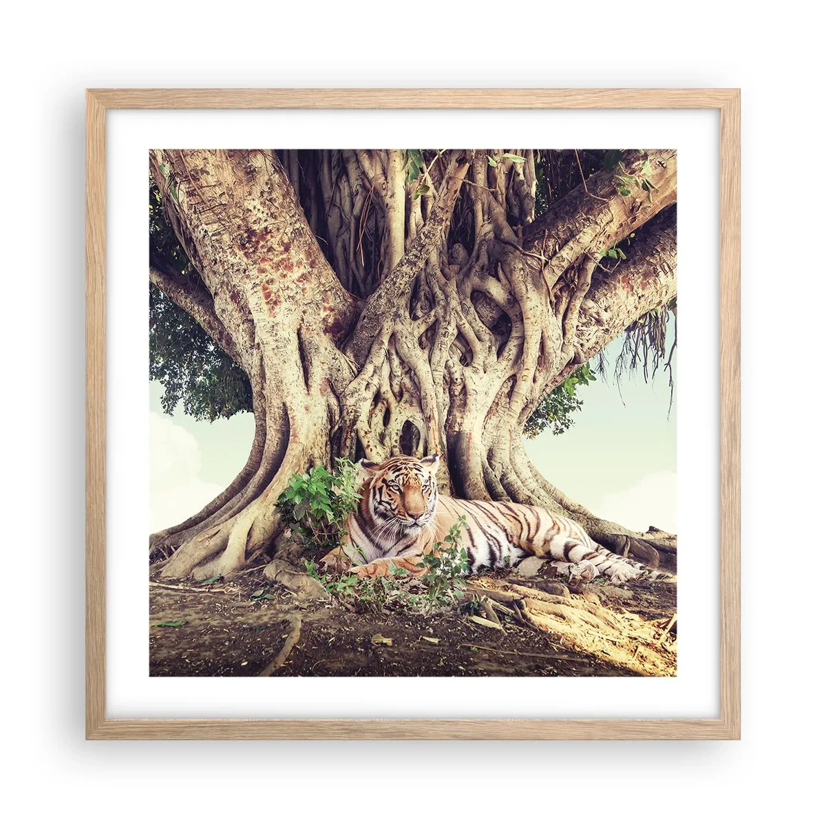 Plakat w ramie jasny dąb - Widok z Księgi Rodzaju - 50x50 cm