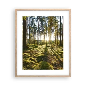 Plakat w ramie jasny dąb - …Za siedmioma lasami - 40x50 cm