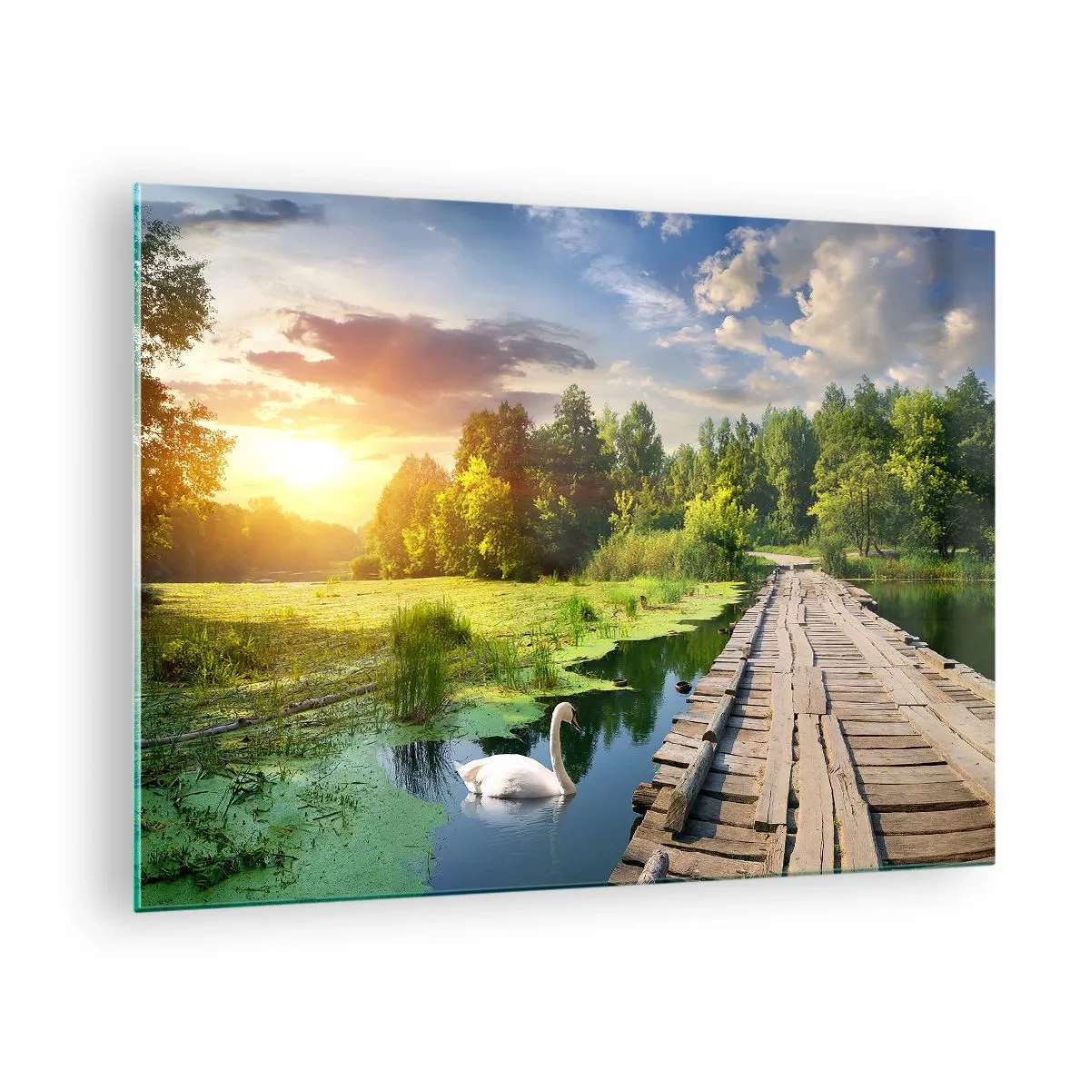 Obraz na szkle - Drewniany pomost nad jeziorem z łabędziem o zachodzie słońca - 70x50cm - Lato, lato wszędzie - Nowoczesna dekoracja ścienna do salonu i sypialni ARTTOR