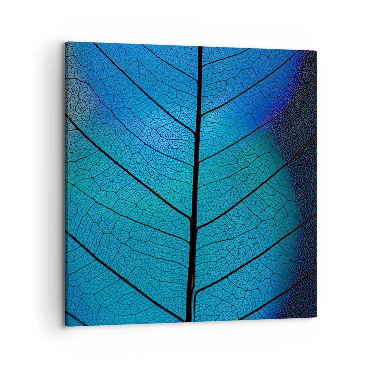 Obraz na płótnie - Misterna budowa - 50x50 cm