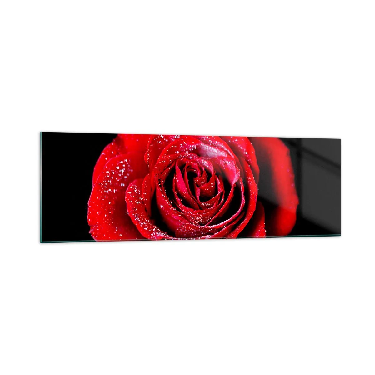 Obraz na szkle - Czerwona róża pokryta kroplami rosy na czarnym tle. - 160x50cm - To właśnie miłość - Nowoczesna dekoracja ścienna do salonu i sypialni ARTTOR