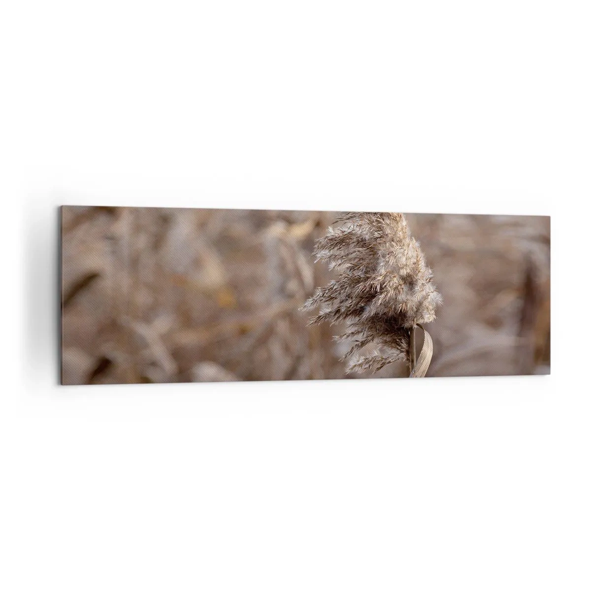 Obraz na płótnie - Delikatne trawy w odcieniach beżu na tle natury - 160x50cm - Czas odlecieć z wiatrem - Nowoczesna dekoracja ścienna do salonu i sypialni ARTTOR