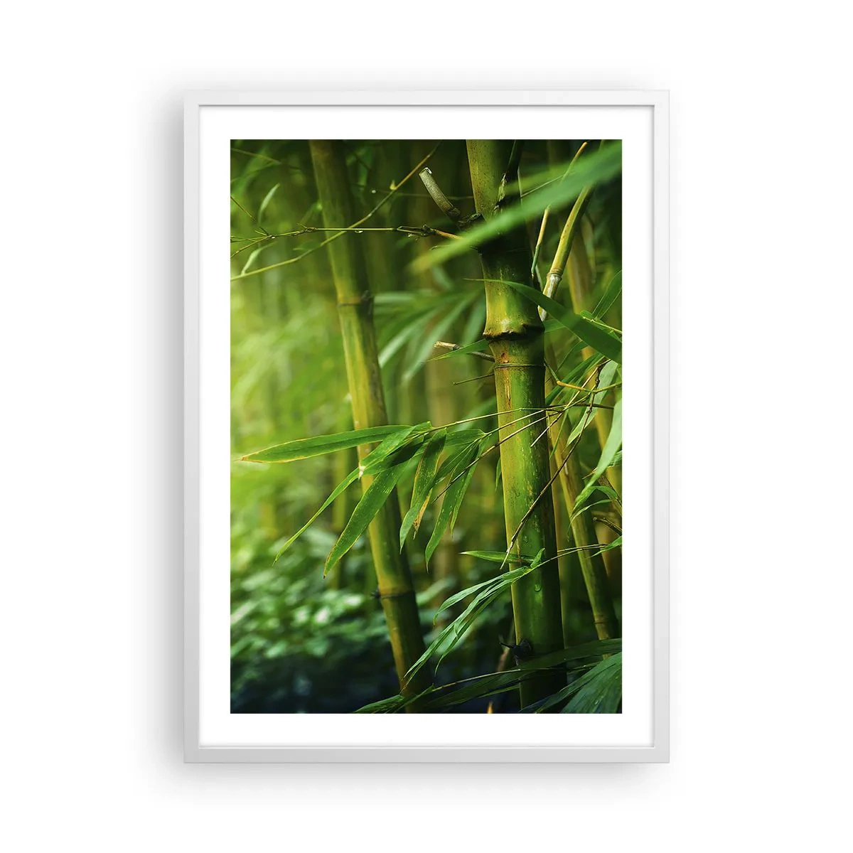Plakat w białej ramie - Poznać zieleń samą w sobie - 50x70 cm