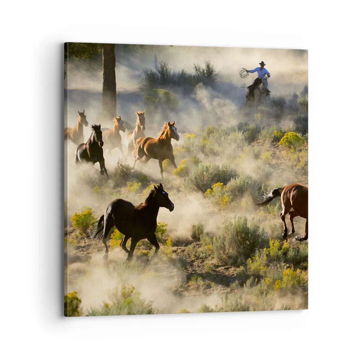 Obraz na płótnie - Rywalizacja - wolność czy męska siła? - 70x70 cm