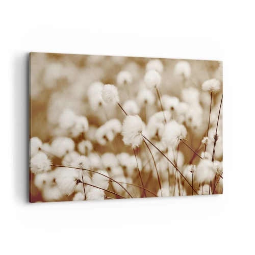 Obraz na płótnie - Pole delikatnych roślin w odcieniach sepia - 120x80cm - Puszysty łan - Nowoczesna dekoracja ścienna do salonu, kuchni i sypialni ARTTOR
