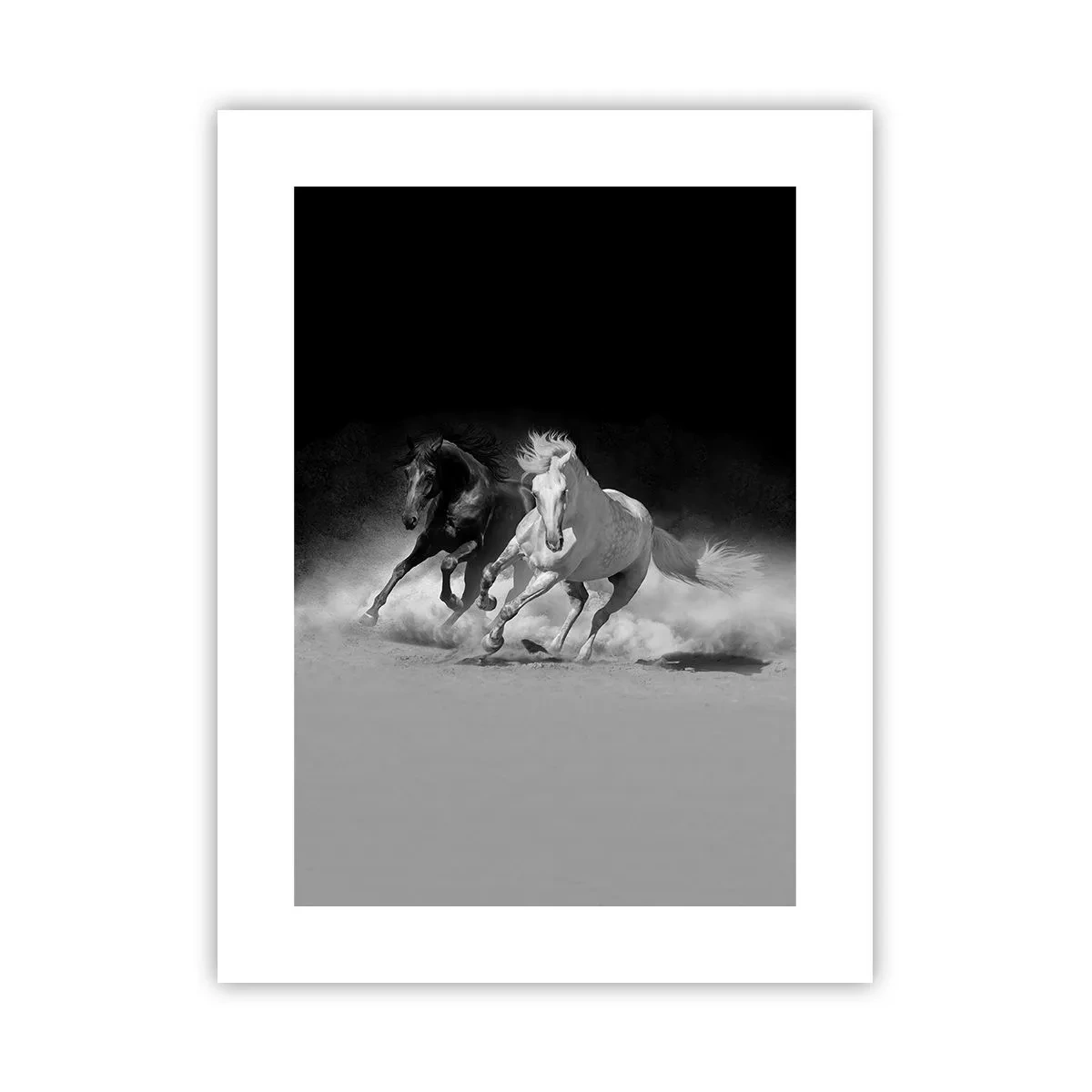 Plakat - Galop wolności - 30x40 cm