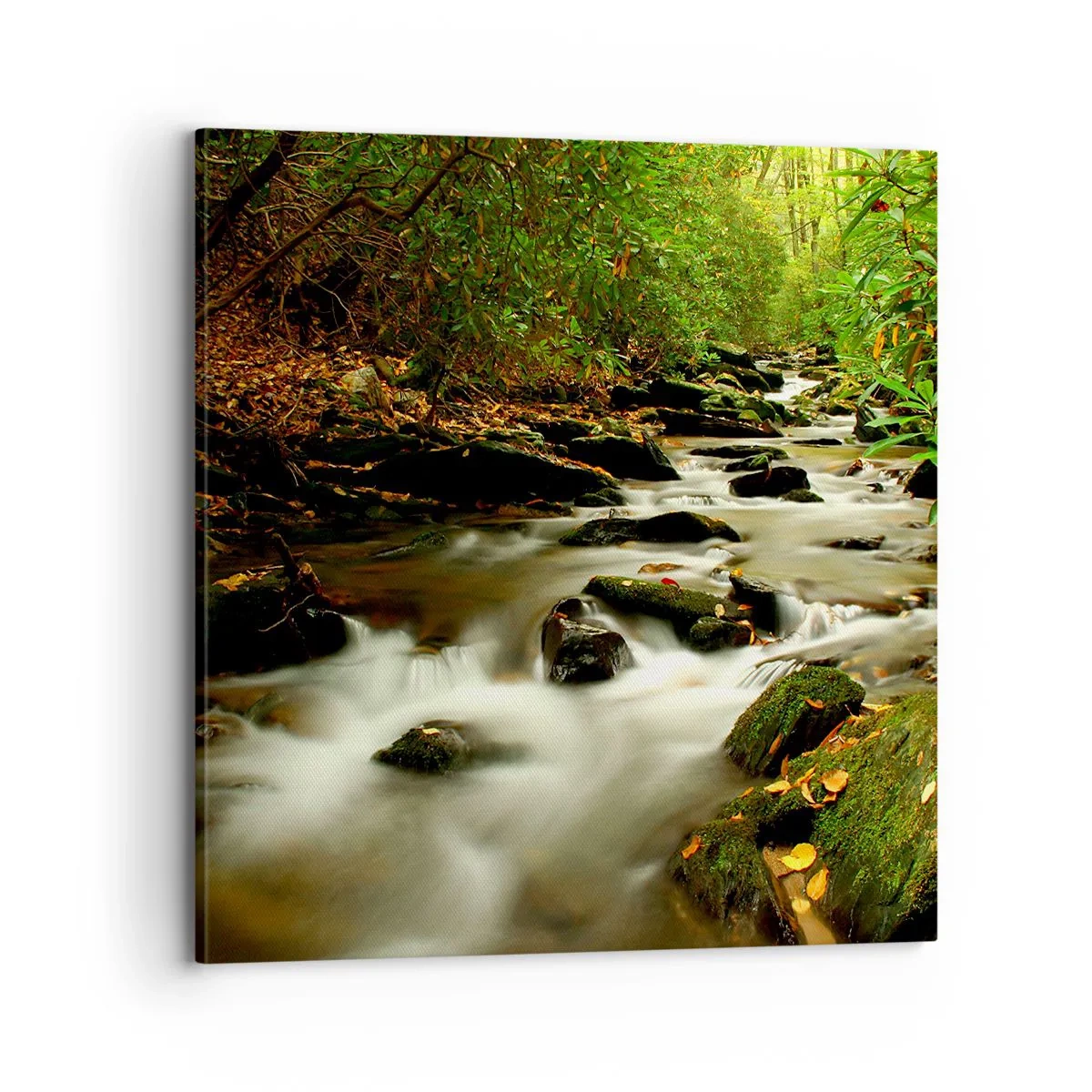 Obraz na płótnie - Jak płynne srebro - 70x70 cm