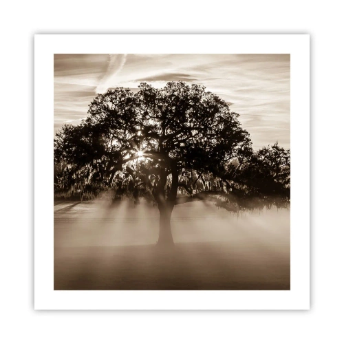 Plakat - Drzewo wiadomości samego dobrego - 50x50 cm