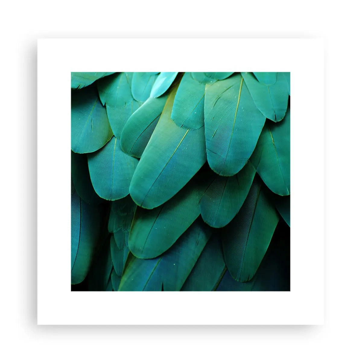 Plakat - Precyzja papuziej natury - 30x30 cm