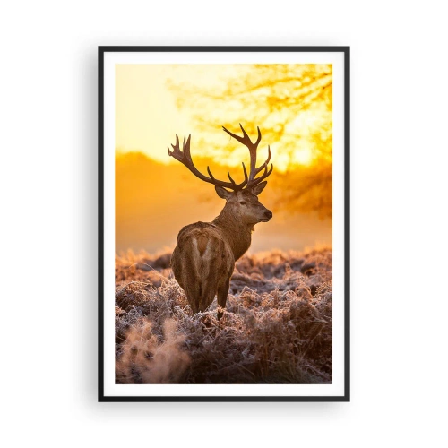 Plakat w czarnej ramie - Król jesiennego lasu - 70x100 cm