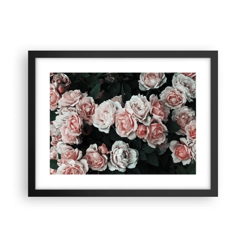 Plakat w czarnej ramie - Różany ansamble - 40x30 cm
