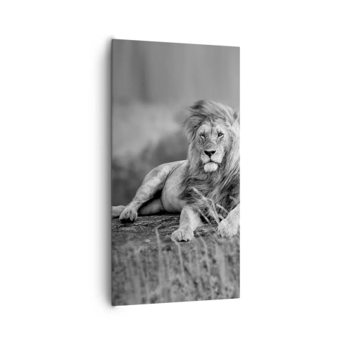 Obraz na płótnie - Królewska sjesta - 65x120 cm