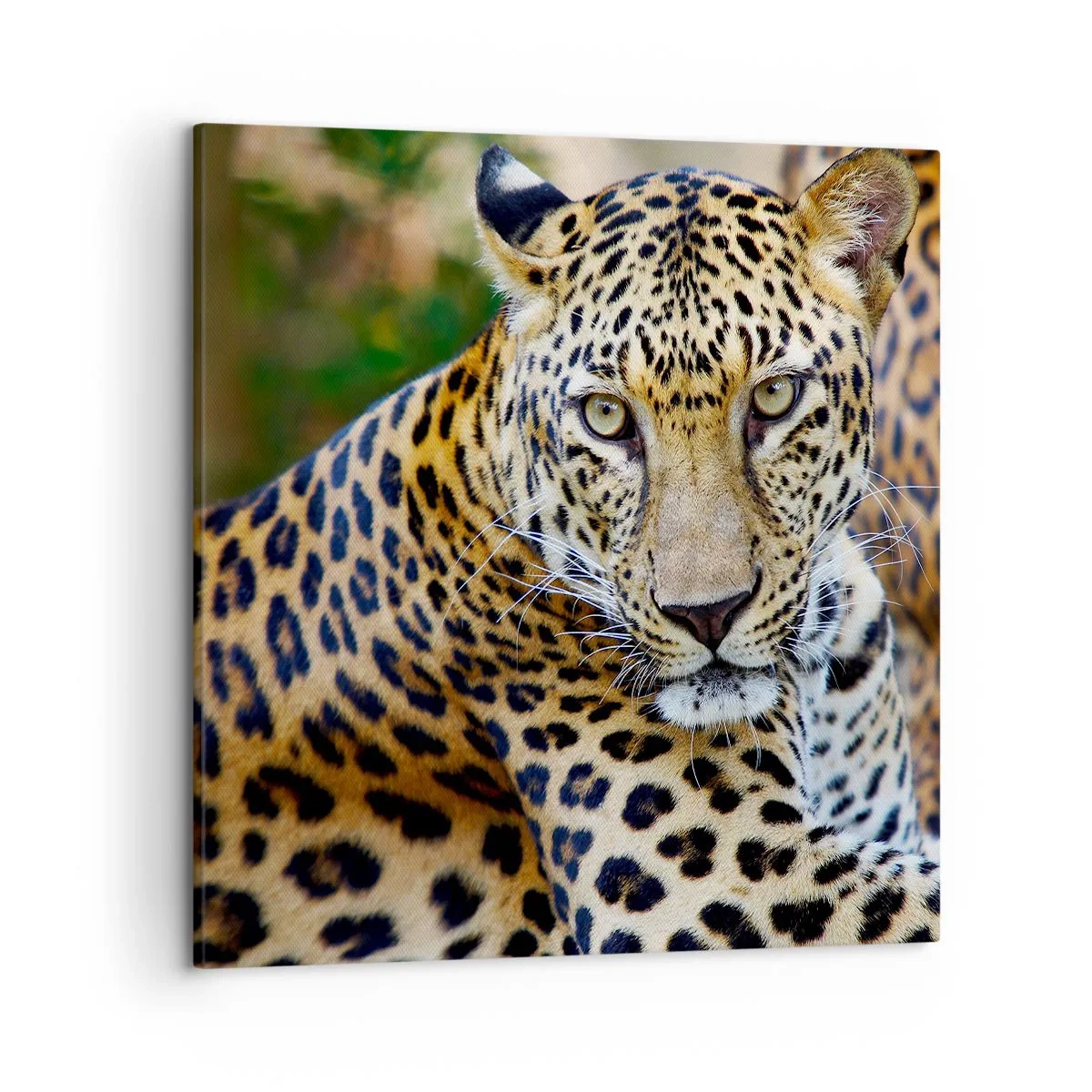 Obraz na płótnie - Dziki i spokojny - 50x50 cm