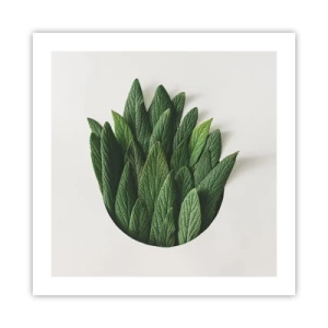 Plakat - Nieposkromiona ciekawość - 50x50 cm