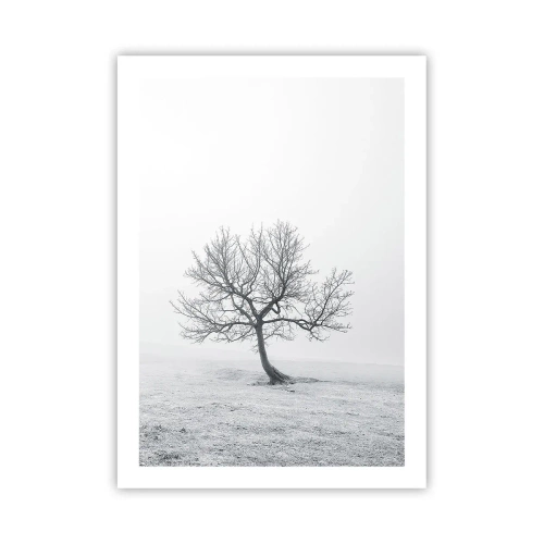 Plakat - Minimalistyczny krajobraz z samotnym drzewem w zimowej scenerii - 50x70cm - Przeciw nicości - Nowoczesna dekoracja ścienna do salonu, kuchni i sypialni ARTTOR