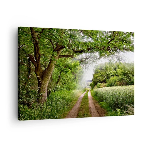 Obraz na płótnie - Polna droga wśród zielonych drzew i promieni słońca - 70x50cm - Et in Arcadia ego - Nowoczesna dekoracja ścienna do salonu i sypialni ARTTOR