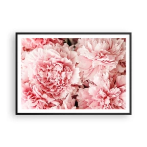 Plakat w czarnej ramie - Subtelne różowe piwonie w delikatnym ujęciu - 100x70cm - Różowe marzenie - Nowoczesna dekoracja ścienna do salonu i sypialni ARTTOR