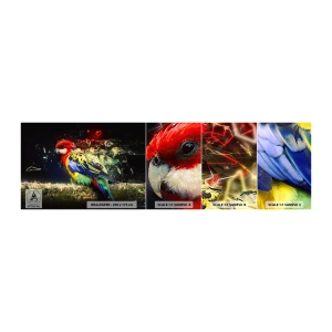 Fototapeta Próbka Standard Eco - Posłaniec blasku - Abstrakcja, Papuga, Ptak - 100x30 cm