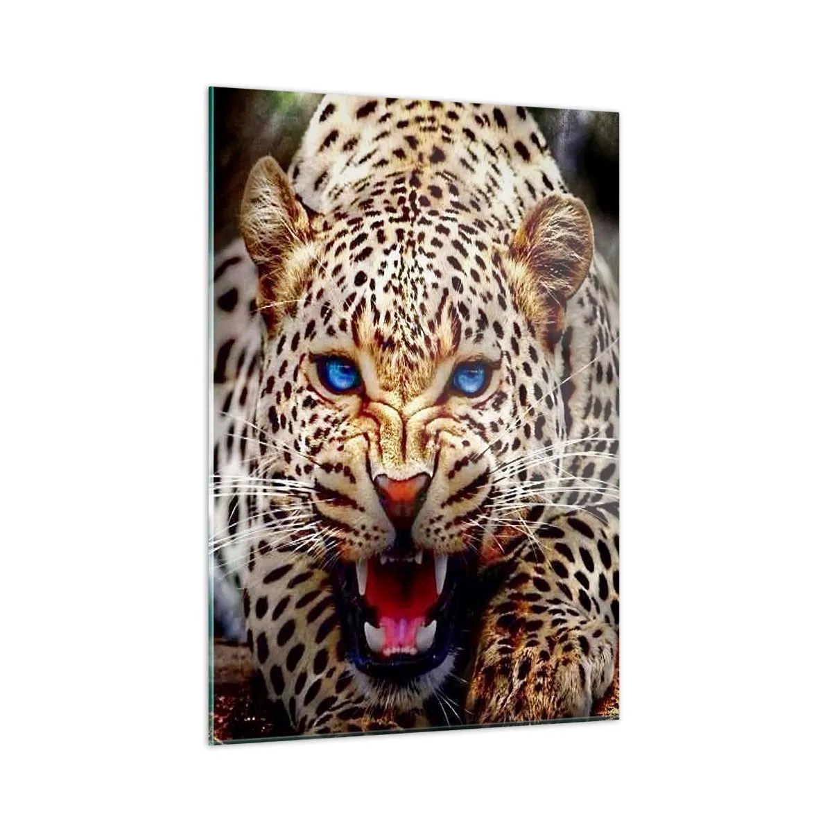 Obraz na szkle - Groźny lampart o niebieskich oczach w dzikiej naturze - 50x70cm - Złość piękności nie szkodzi - Nowoczesna dekoracja ścienna do salonu, kuchni i sypialni ARTTOR