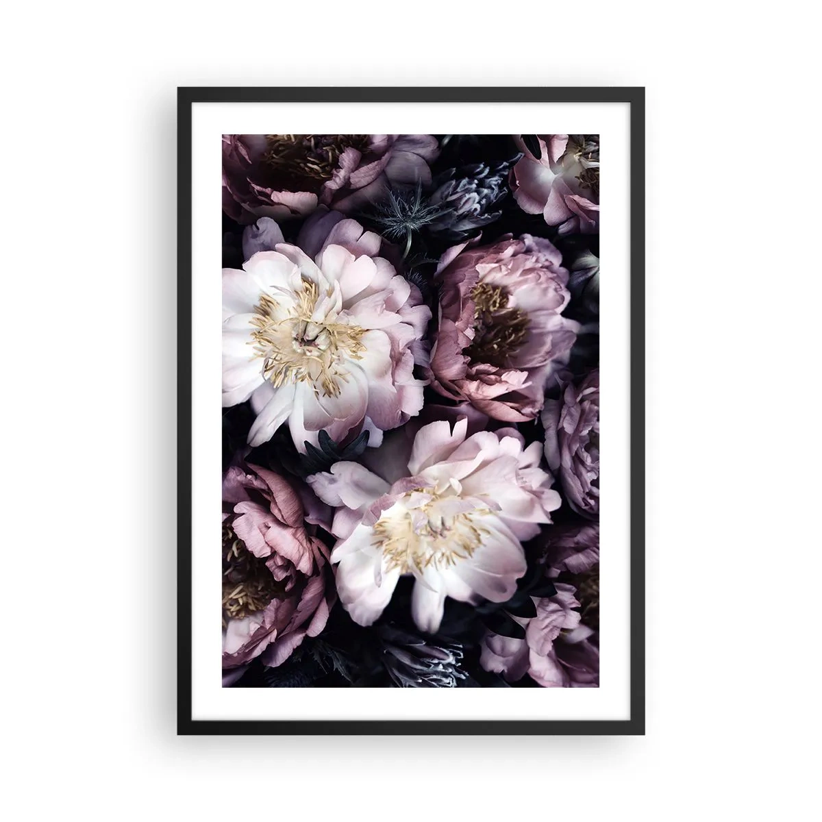 Plakat w czarnej ramie - Delikatne kwiaty piwonii w stonowanych kolorach - 50x70cm - Bukiet w dawnym stylu - Nowoczesna dekoracja ścienna do salonu i sypialni ARTTOR