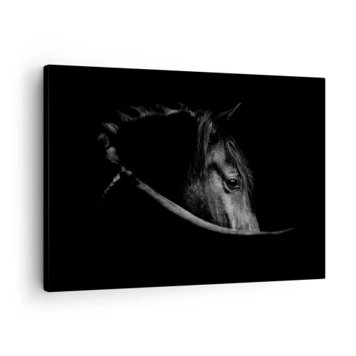 Obraz na płótnie - Czarno-biały portret konia w subtelnej grze światła i cienia na ciemnym tle - 70x50cm - Czarny książę - Nowoczesna dekoracja ścienna do salonu i sypialni ARTTOR